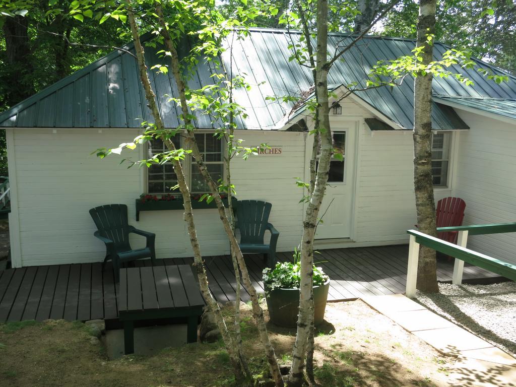 Birch Cliff Lodge On Baptiste Lake Highland Grove Phòng bức ảnh